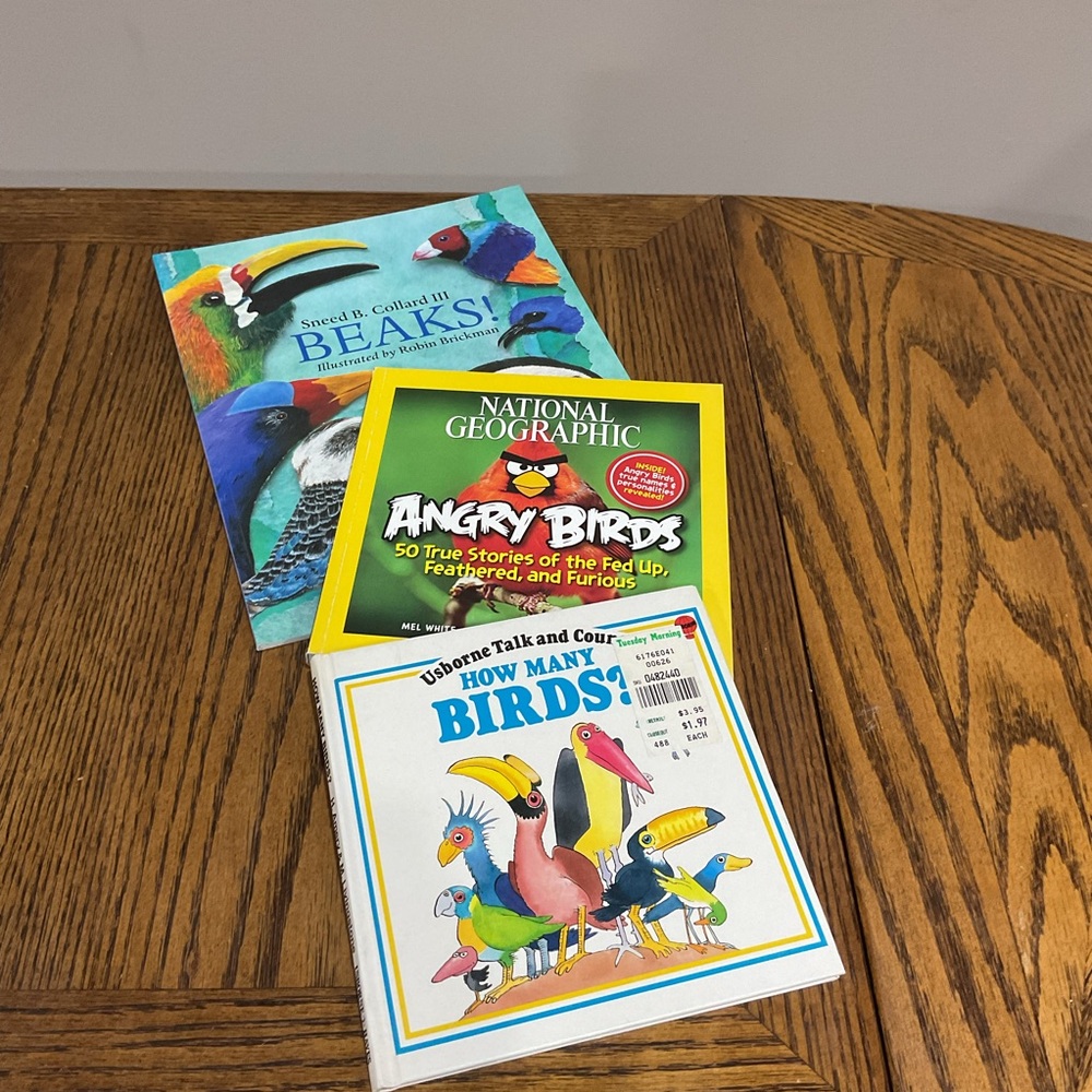 National Geographic Angry Birds Book - Vibrant Yellow and Green